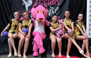 Résultats Championnat Interdépartemental GR Ensemble TFB, REGB, TFA, NAT et Individuels IDF REGB - Pontoise et Vitry-sur-Seine