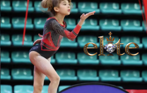Résultats Championnat de France ELITES GAF Performance - Mulhouse