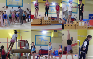 Compétition Interne Loisirs - Dimanche 29 Mars 2026 au Gymnase Falguière