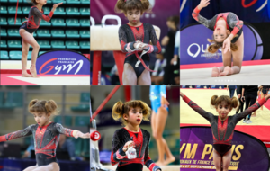 Championnat De France Individuel ELITES GAF National - 5 Juin 2026 - Marly