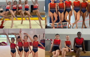 Finale Interdépartemental Equipe GAF Fédérale B et TID (6/7 Juin 2026)