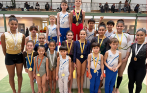 Championnat Départemental Individuel GAM/GAF - Paris 14e