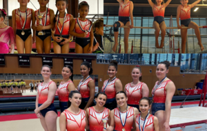 Championnat Interdépartemental Equipes GAF Performance - Puteaux et Le Plessis Robinson