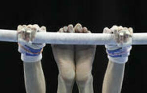 Championnat de France Elites GAM/GAF - Mulhouse (68)