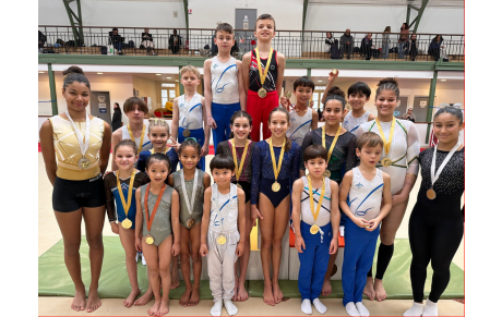 Résultats Championnat Départemental Individuel GAM/GAF - Paris 14e